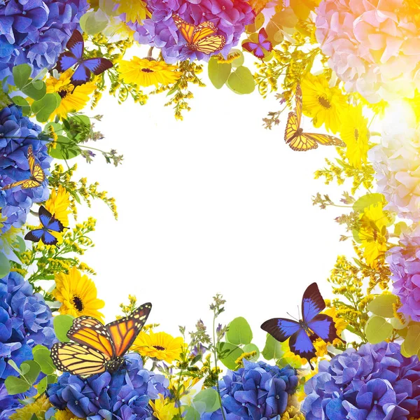 Amazing Floral card with hydrangeas and butterflies — Stock Photo, Image