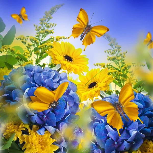 Karta kwiatowy z motylami, siedząc na hortensje — Zdjęcie stockowe