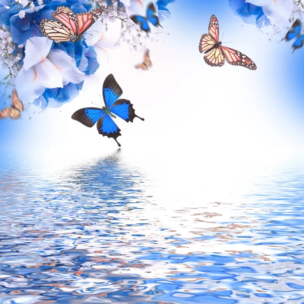 Erstaunliche Blumenkarte mit Hortensien und Schmetterlingen — Stockfoto