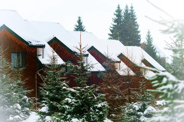 白雪皑皑的杉木树环绕的房子 — 图库照片