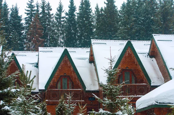 Hófödte fenyő fákkal körülvett családi házak — Stock Fotó