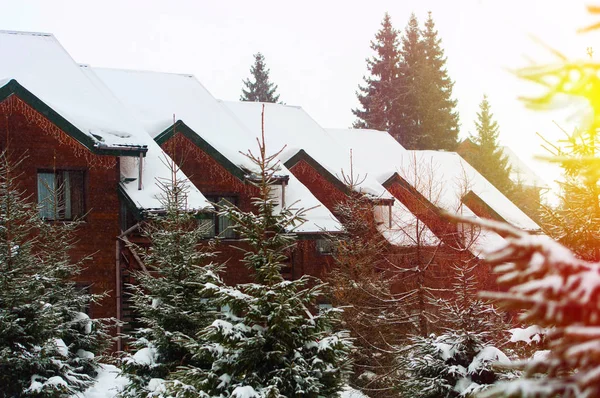 Casas rodeadas de abetos nevados —  Fotos de Stock