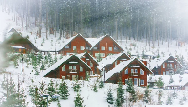 Houses surrounded by snow-capped fir trees — Stock Photo, Image