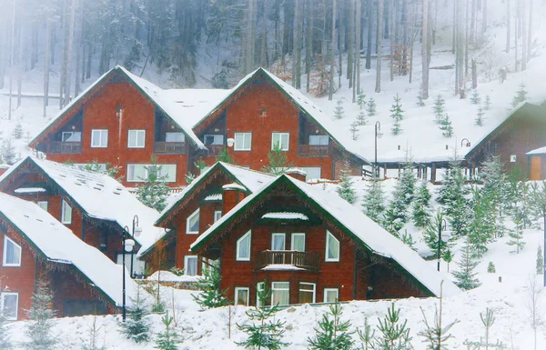 Houses surrounded by snow-capped fir trees — Stock Photo, Image