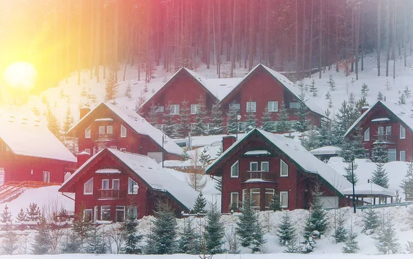Houses surrounded by snow-capped fir trees — Stock Photo, Image