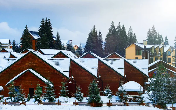 Häuser umgeben von schneebedeckten Tannen — Stockfoto