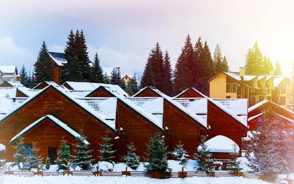 Casas rodeadas por abetos cobertos de neve — Fotografia de Stock