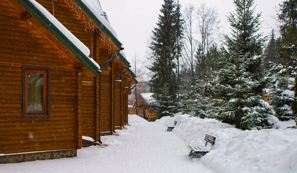 Casas de madeira rodeadas por árvores cobertas de neve — Fotografia de Stock