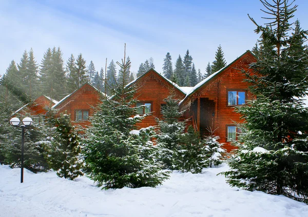 Деревянные дома в окружении снежных деревьев — стоковое фото