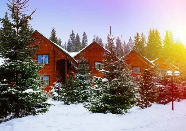 Casas de madeira rodeadas por árvores cobertas de neve — Fotografia de Stock