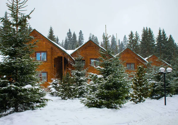 雪に覆われた木々 に囲まれた木造住宅 — ストック写真