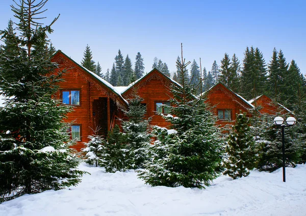 Casas de madera rodeadas de árboles nevados — Foto de Stock