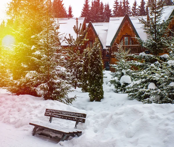 Деревянные дома в окружении снежных деревьев — стоковое фото
