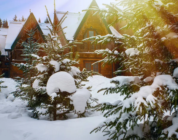 Wooden houses surrounded by snow-capped trees — Stock Photo, Image