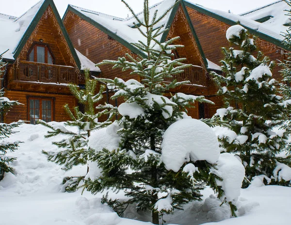 白雪皑皑的绿树环绕的木结构房屋 — 图库照片