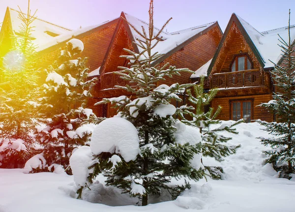 Wooden houses surrounded by snow-capped trees — Stock Photo, Image