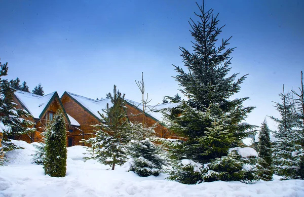 Ξύλινα σπίτια που περιβάλλεται από χιονισμένα δέντρα — Φωτογραφία Αρχείου