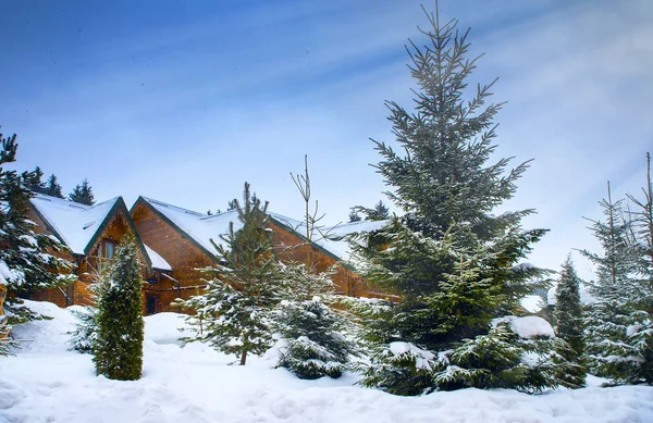 Holzhäuser umgeben von schneebedeckten Bäumen — Stockfoto