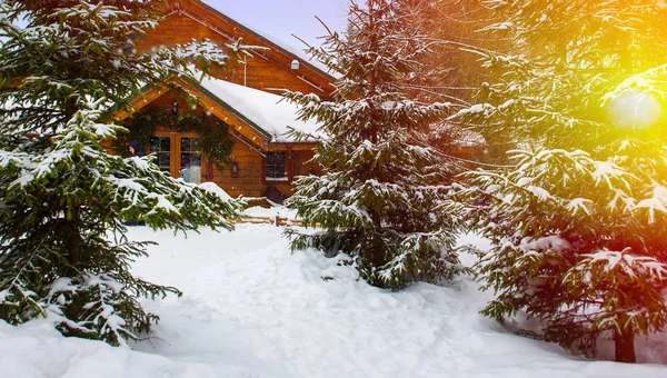 Wooden house surrounded by snow-capped trees — Stock Photo, Image