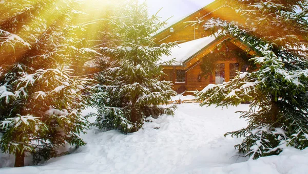 Ξύλινο σπίτι που περιβάλλεται από χιονισμένα δέντρα — Φωτογραφία Αρχείου