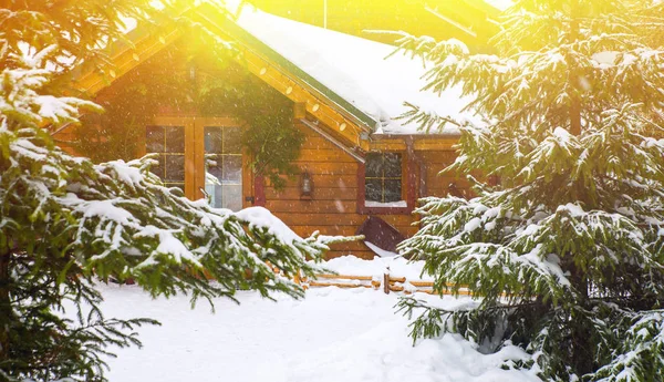 Houten huis, omringd door besneeuwde bomen — Stockfoto