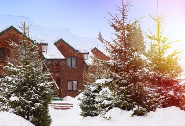 Casas de madera rodeadas de árboles nevados — Foto de Stock