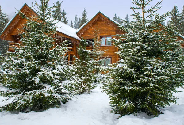 Maisons en bois entourées d'arbres enneigés — Photo