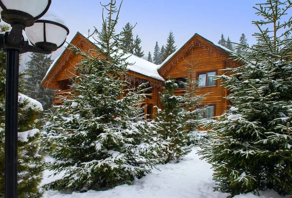 Casas de madera rodeadas de árboles nevados — Foto de Stock