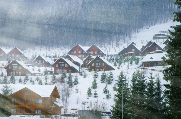 Ξύλινα σπίτια που περιβάλλεται από χιονισμένα δέντρα — Φωτογραφία Αρχείου