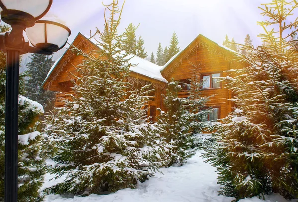 Wooden houses surrounded by snow-capped trees — Stock Image Wooden houses surrounded by snow-capped trees Royalty Free Stock Photos