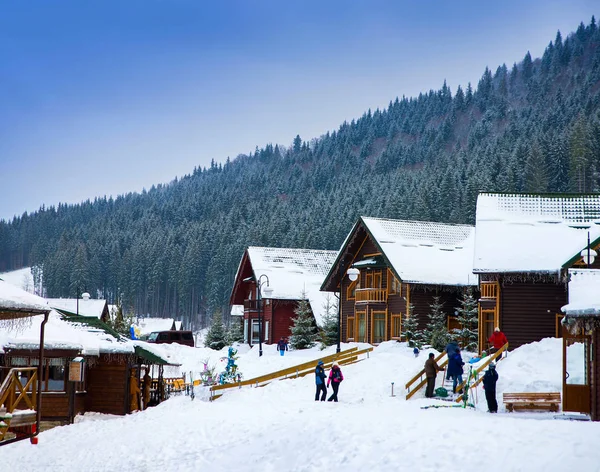 Wooden houses surrounded by snow-capped trees Royalty Free Stock Images