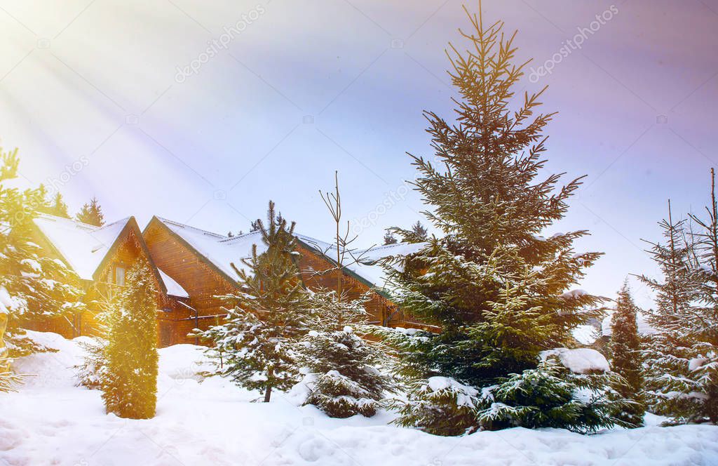  wooden houses surrounded by snow-capped trees