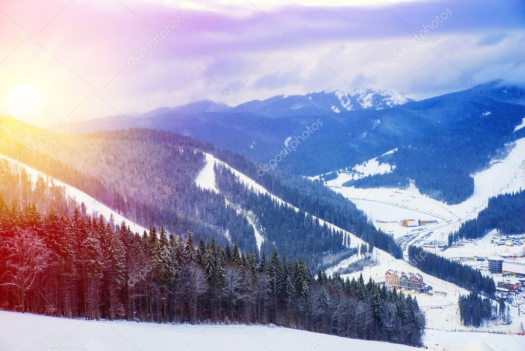 ski slopes surrounded by trees in mountains