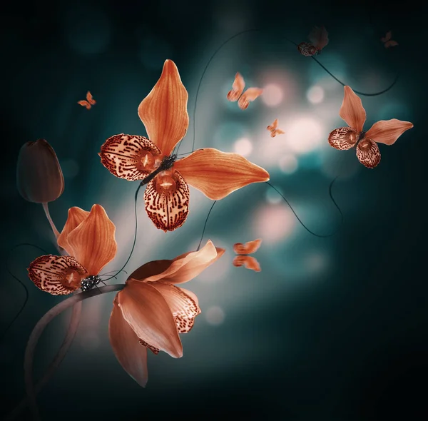 令人惊异的蝴蝶从兰花的花瓣 — 图库照片