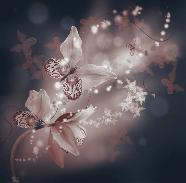 Borboletas surpreendentes das pétalas das orquídeas — Fotografia de Stock