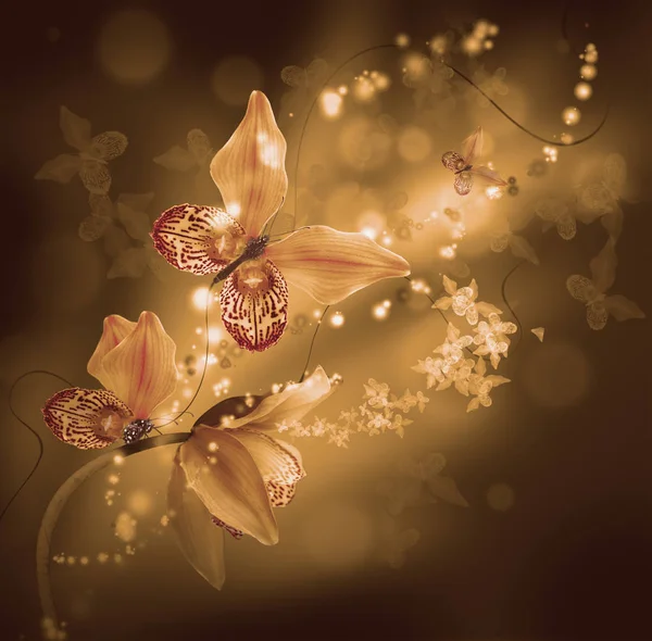 令人惊异的蝴蝶从兰花的花瓣 — 图库照片