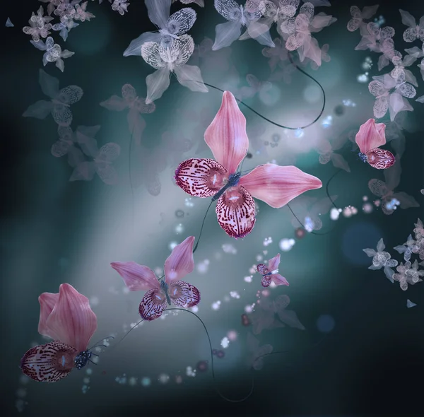 Borboletas surpreendentes das pétalas das orquídeas — Fotografia de Stock