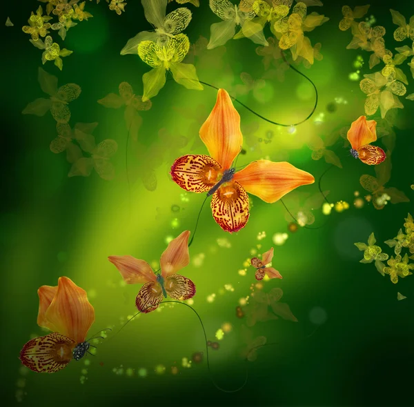 Erstaunliche Schmetterlinge aus den Blütenblättern der Orchideen — Stockfoto