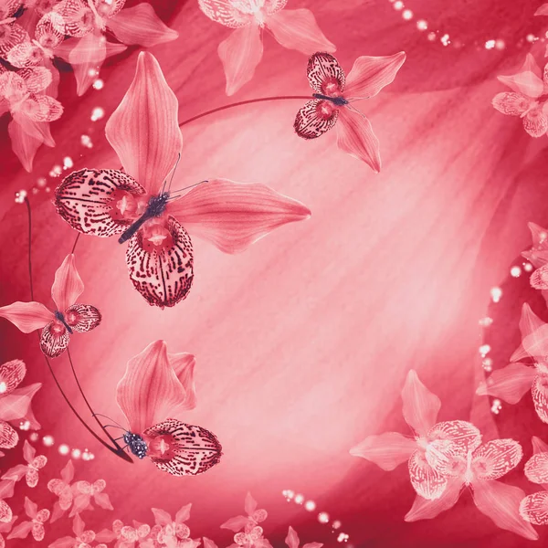 Erstaunliche Schmetterlinge aus den Blütenblättern der Orchideen — Stockfoto