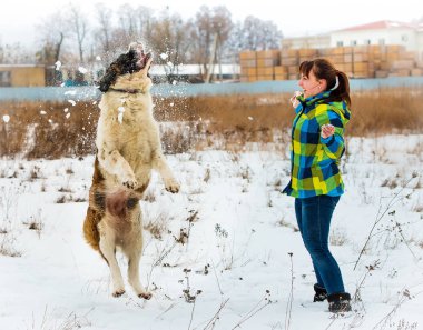 Çekici genç erkek ve kız bir köpekle oynamayı