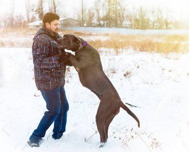 Çekici genç erkek ve kız bir köpekle oynamayı