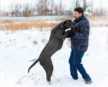 Çekici genç erkek ve kız bir köpekle oynamayı