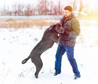 Çekici genç erkek ve kız bir köpekle oynamayı
