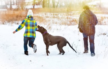 Çekici genç erkek ve kız bir köpekle oynamayı