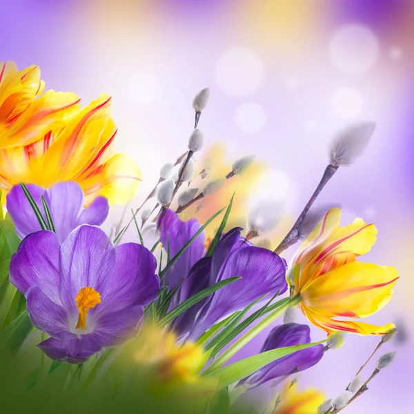 Kartka Wielkanocna z kwiatami — Zdjęcie stockowe