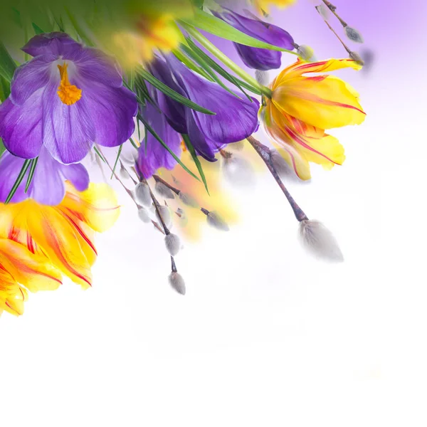 Cartão de Páscoa com flores — Fotografia de Stock