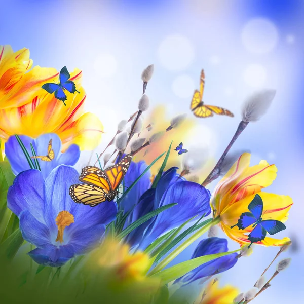 Πασχαλινή κάρτα με λουλούδια και πεταλούδες — Φωτογραφία Αρχείου