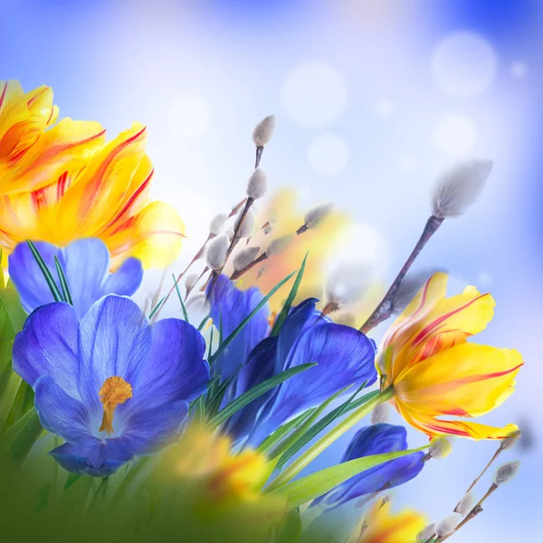 Påskkort med blommor — Stockfoto