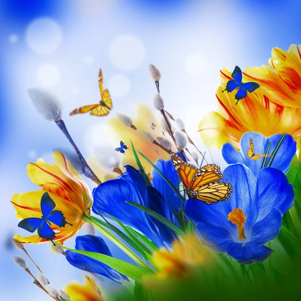 Пасхальная открытка с цветами и бабочками — стоковое фото