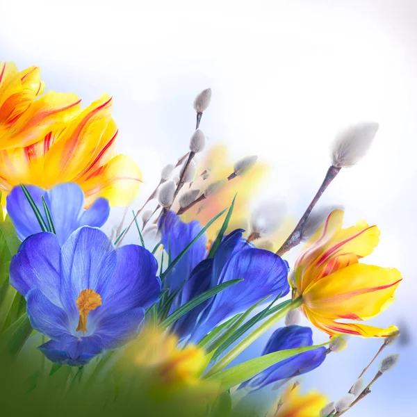 Tarjeta de Pascua con flores — Foto de Stock